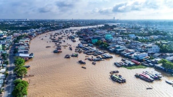 Post-merger agriculture in the Mekong Delta: Shifting to large-scale production